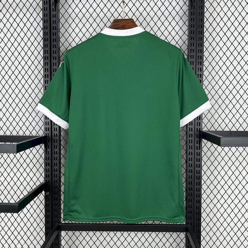 Camisa do Palmeiras 25/26 Verde, Uniforme Oficial, Lançamento 2025